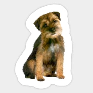 A Border Terrier - Just the Dog. Sticker